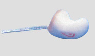 biem